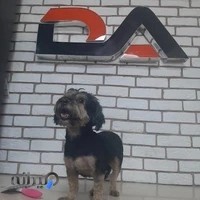 Sabet veterinary clinic دامپزشکی دکتر ثابت