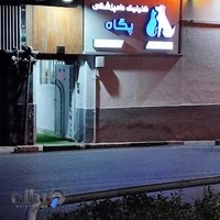 کلینیک دامپزشکی پگاه