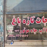 فروش انواع سبزیجات_اکبری