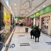 مجتمع تجاری عرش آجودانیه