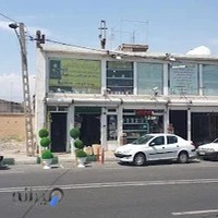 تولید و پخش هاشمی