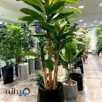 هزاره سبز