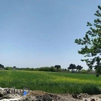 کارگاه صنایع چوبی اصغری