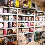 بیمارستان دامپزشکی دکتر روحانی