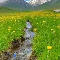 لباس زیر مردانه تیتو