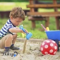 دنیای بازی کبوترانه