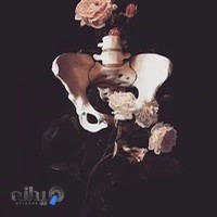 فیزیوتراپی تخصصی کف لگن هیرو(دکترمیری)