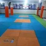 باشگاه ورزشی کاوه