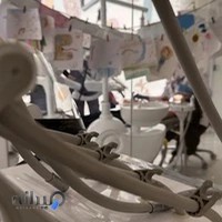 Dr Fatemeh Shekarchi