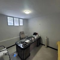 چیدمان نوین