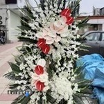 گلفروشی افرا