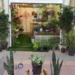 گلفروشی مهدی