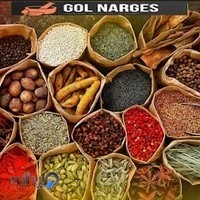 سلامت کده گل نرگس