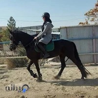 باشگاه سوارکاری کمرد