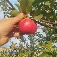 فروشگاه کشاورزی سرشت نهاده کود و سم