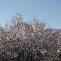 فنگ شویی برتر