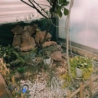 مرکز آموزش موسیقی نغمه مهر