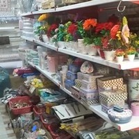 پلاسکو آرشین