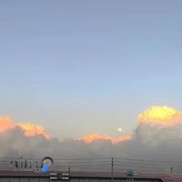 پخش پلاستیک تهران پلاست