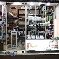 الکتریکی اسکان