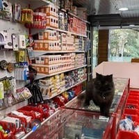 الکتریکی ساعد