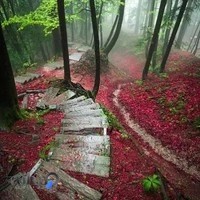 الکتریکی حقیقت