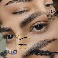 Salonzibaeifaribazarei