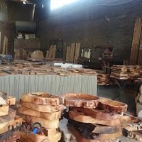 پخش چوب راشل