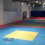 باشگاه ورزشی آسیا - تکواندو ، کونگفوتوآ