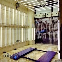 تشخیص رنگ گلچین