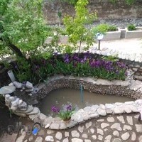 ویلای اجاره ای چشمه سار آبعلی