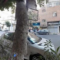 دزدگیر ایمن آسیا