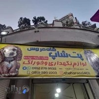 پت شاپ شاه. عروس