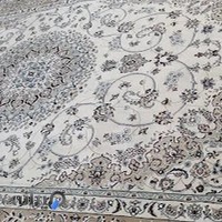 قالیشویی تهران نو