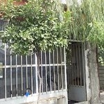 وانت تلفنی چاربیدار