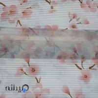 پرده زبرا ونیز