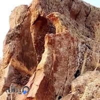 Vangogh Paint Gallery