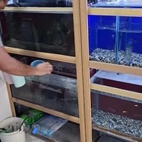 آکواریوم لوتوس