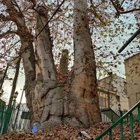 مسجد جامع سوهانک