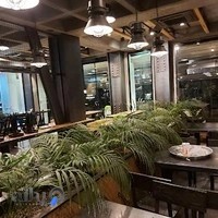 چیکن فکتوری