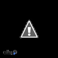 غذای ایرانی مانا