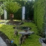 گالری سبز آمل