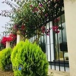 تالار مرواريد سبز