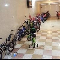 دوچرخه برادران