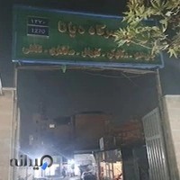 تعمیرگاه دیانا