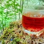 بستنی جواهر.شعبه مرکزی.رامسر