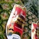 میوه فروشی برادران شریفی