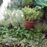 فروشگاه گل وگیاه رضازاده