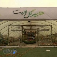هایپر گل الیت