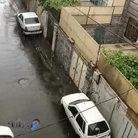 پیشخوان دولت کد 1725